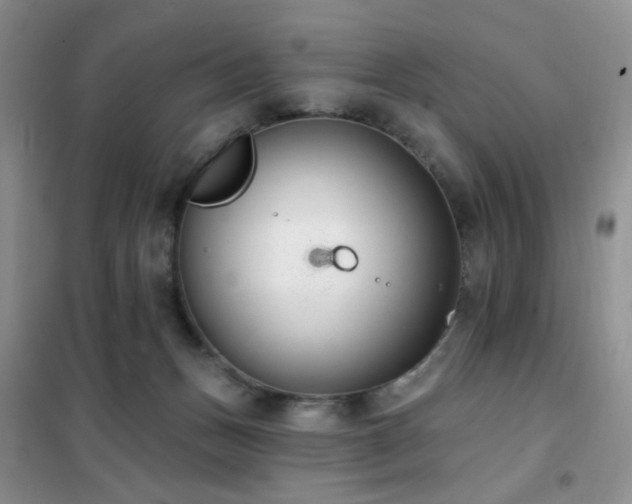 X0000102350175200808011212