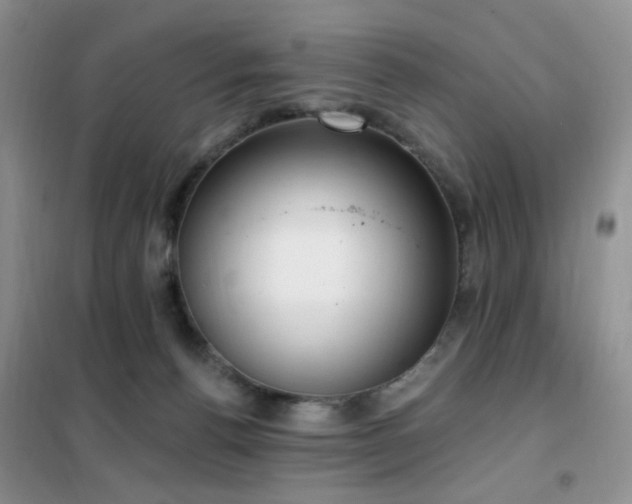 X0000102350176200808011212