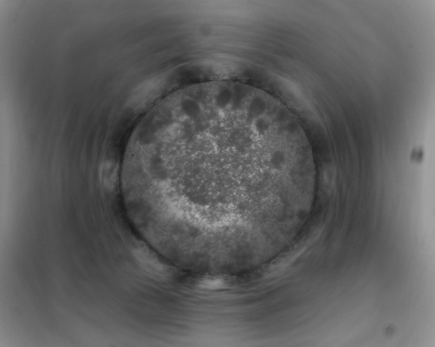 X0000102350177200808011212