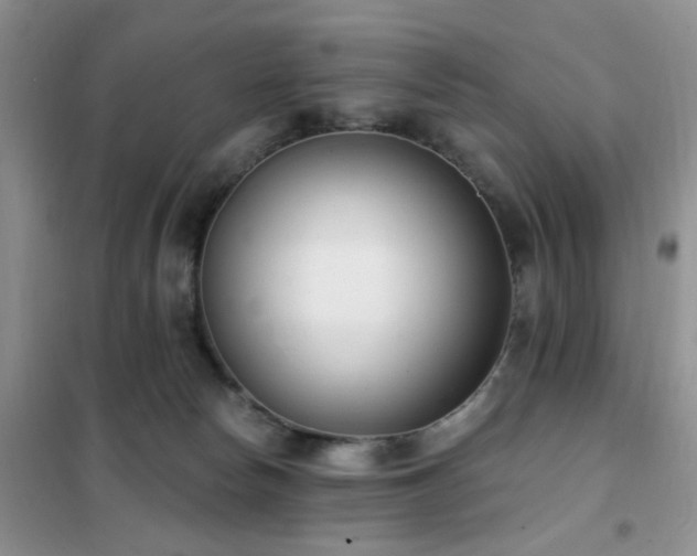 X0000102350178200808011212