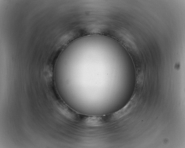 X0000102350179200808011212