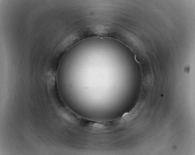 X0000102350180200808011212