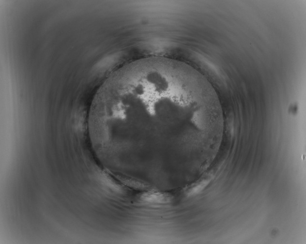 X0000102350181200808011212