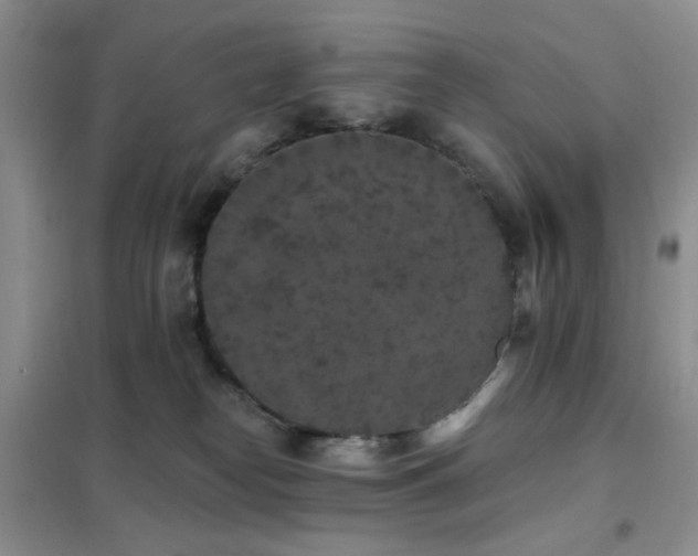 X0000102350182200808011212