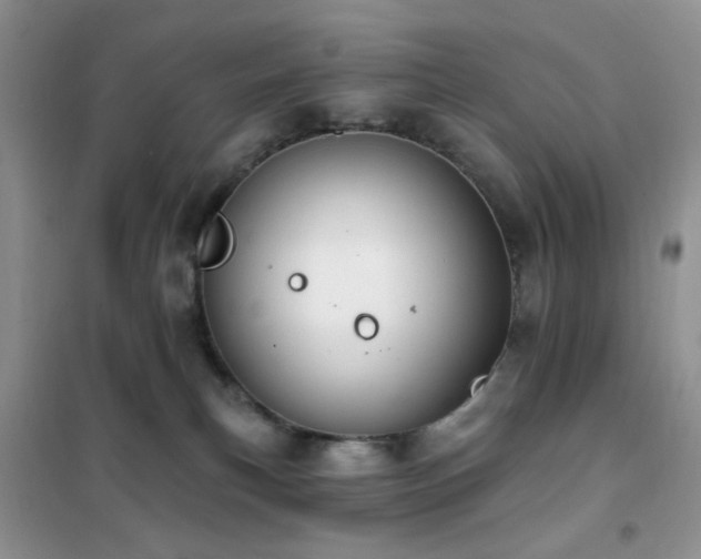 X0000102350183200808011212