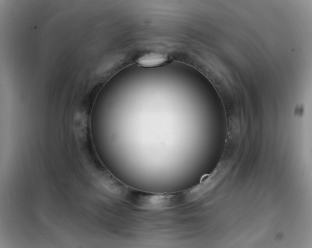 X0000102350184200808011212