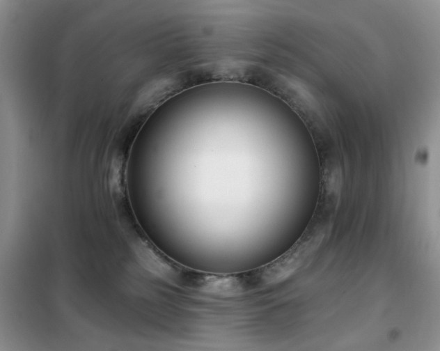 X0000102350185200808011212