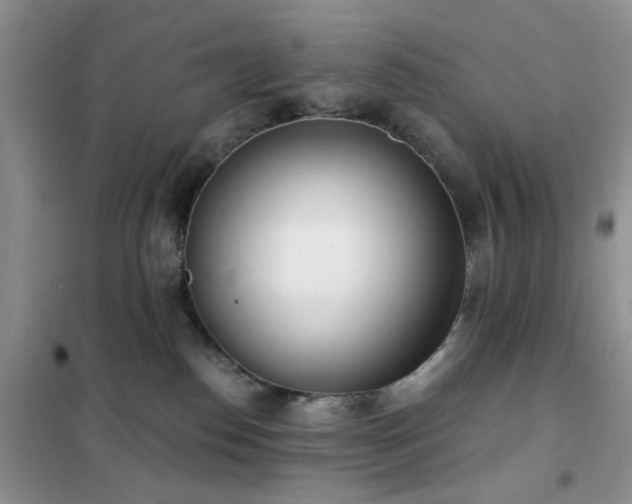 X0000102350186200808011212