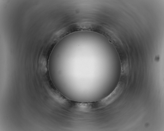 X0000102350187200808011212