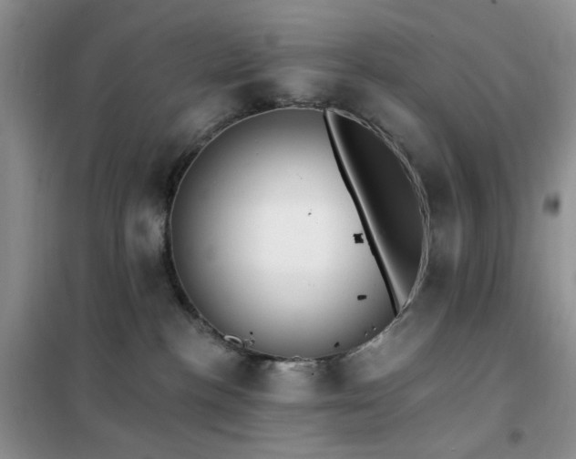 X0000102350188200808011212