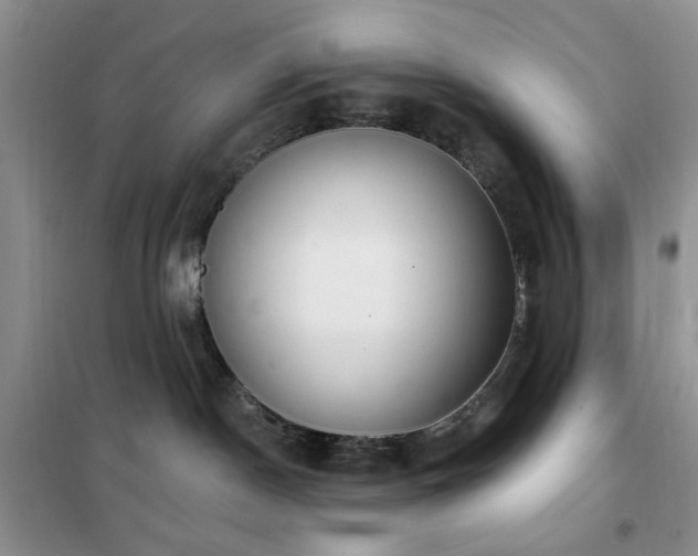 X0000102350190200808011212