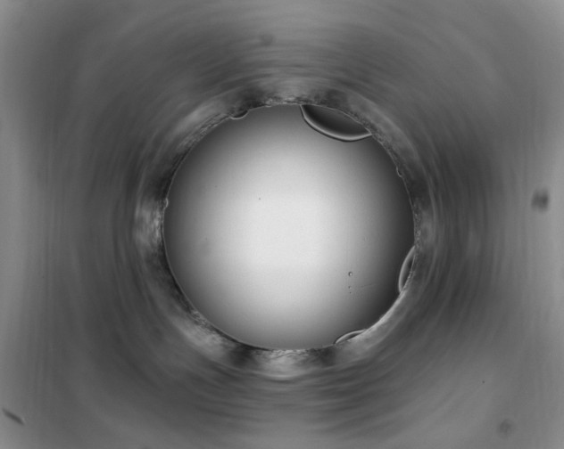 X0000102350191200808011212