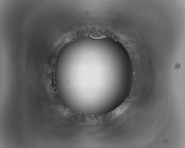 X0000102350192200808011212