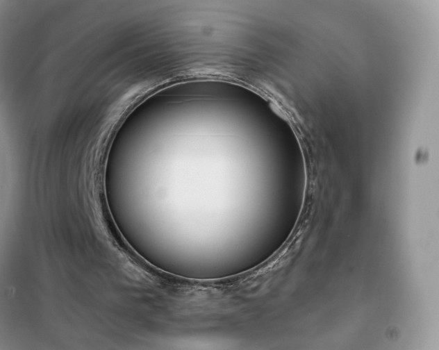 X0000102350193200808011212