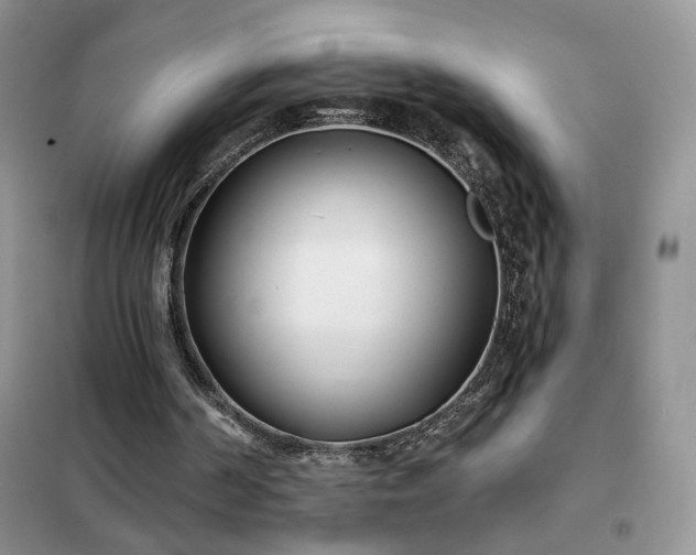 X0000102350194200808011212