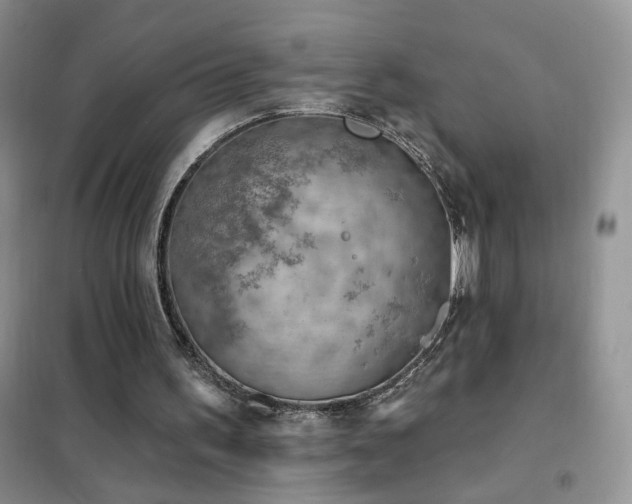 X0000102350195200808011212