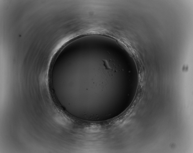 X0000102350196200808011212