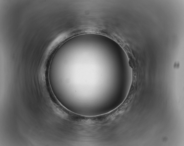 X0000102350197200808011212