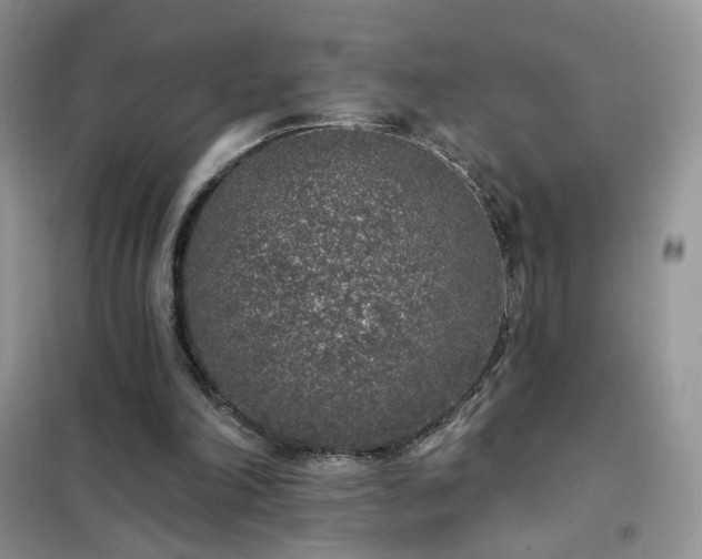 X0000102350198200808011212