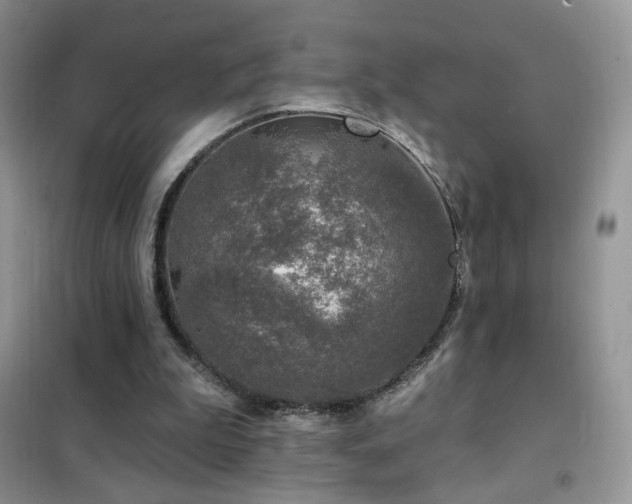 X0000102350199200808011212