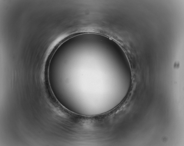 X0000102350200200808011212