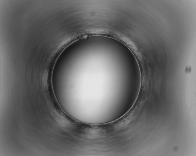 X0000102350201200808011212