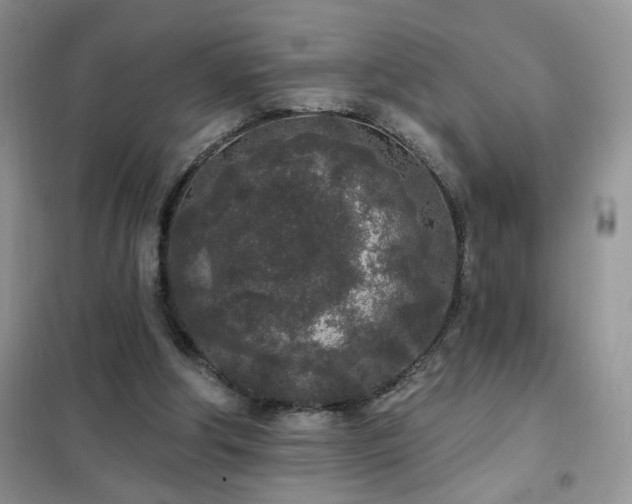 X0000102350202200808011212