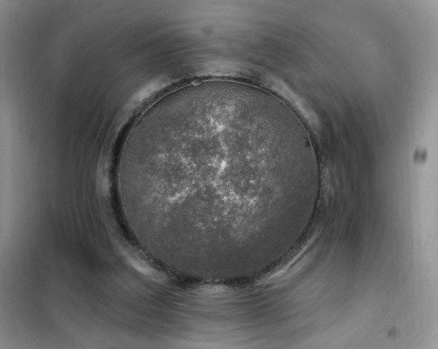 X0000102350203200808011212