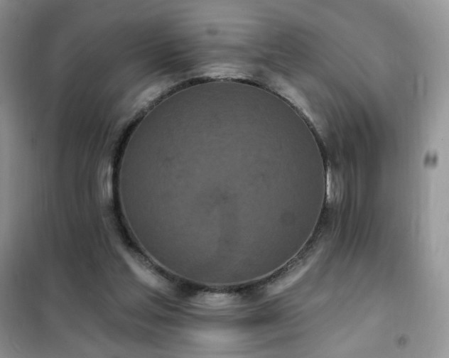 X0000102350205200808011211