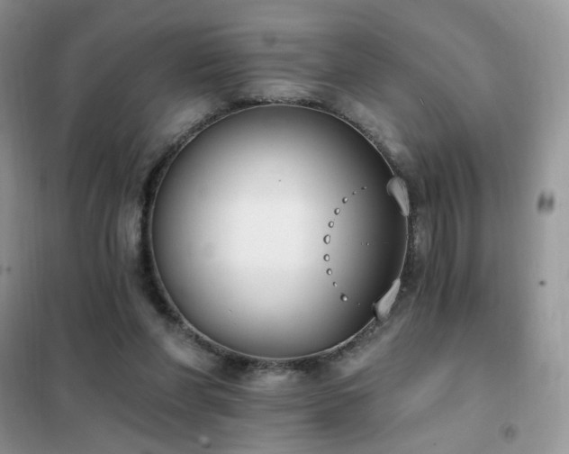 X0000102350206200808011211