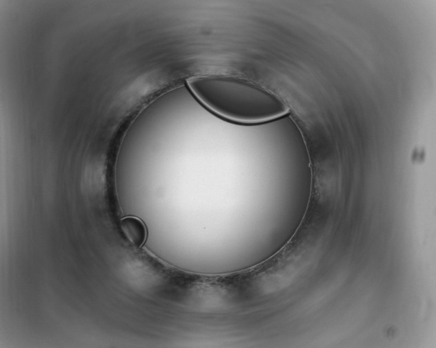 X0000102350207200808011211