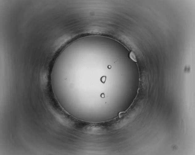 X0000102350208200808011211