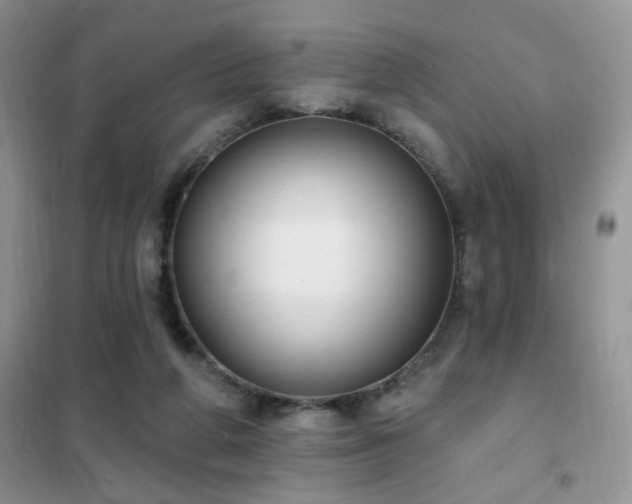 X0000102350210200808011211