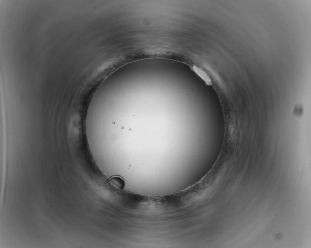 X0000102350211200808011211