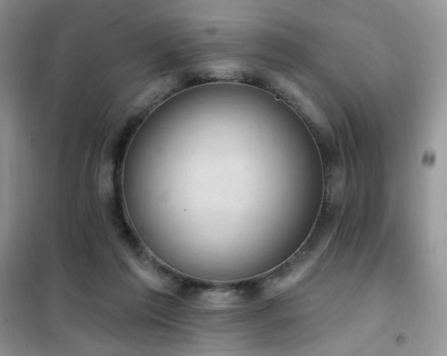 X0000102350213200808011211