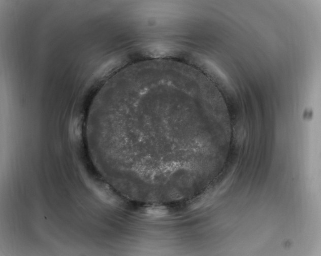 X0000102350214200808011211