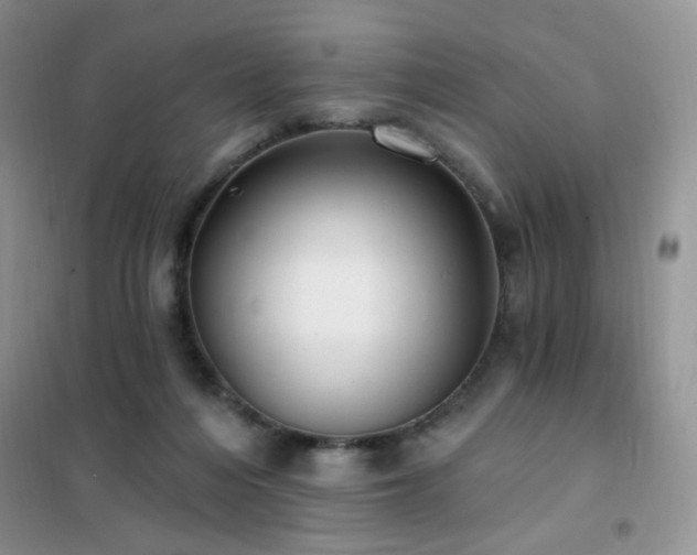 X0000102350216200808011211