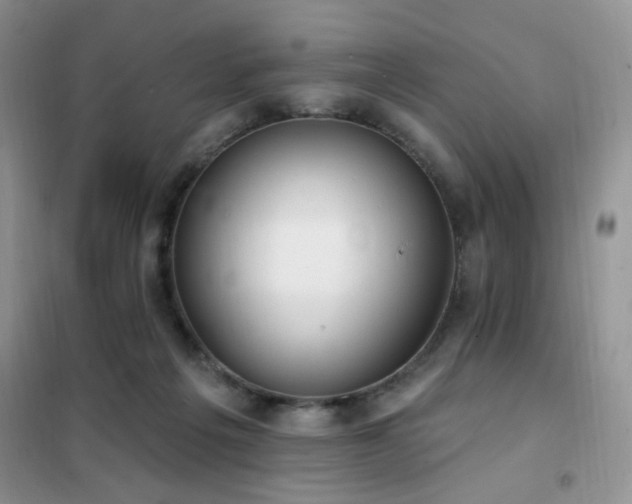 X0000102350217200808011211