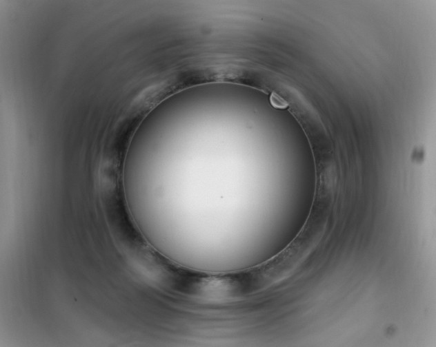 X0000102350218200808011211