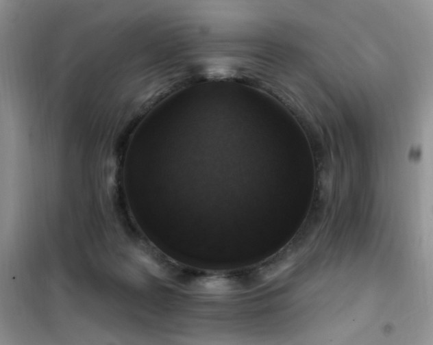 X0000102350219200808011211