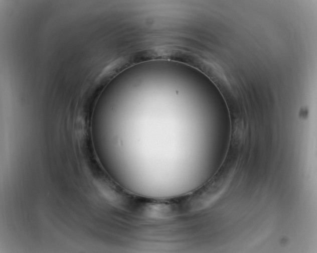 X0000102350220200808011211