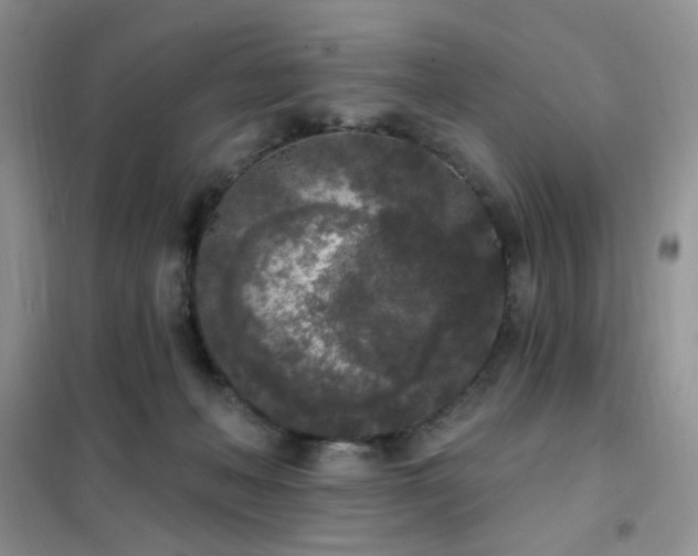 X0000102350222200808011211