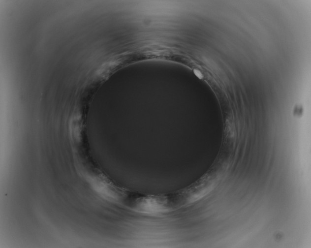 X0000102350223200808011211