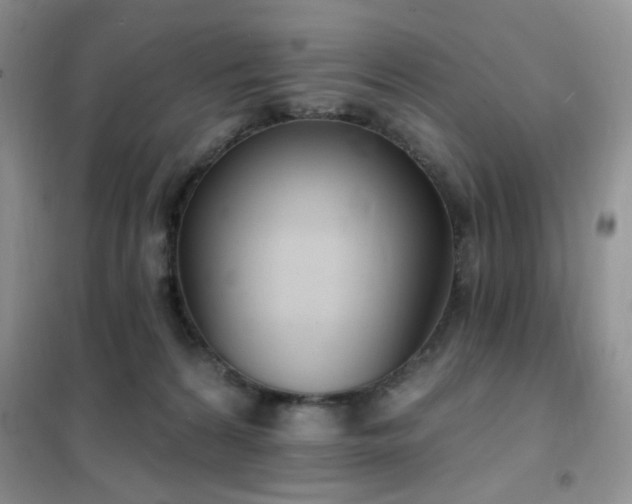 X0000102350224200808011211