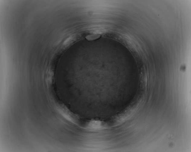 X0000102350227200808011211