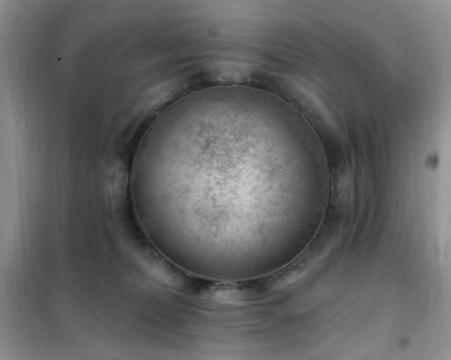 X0000102350228200808011211