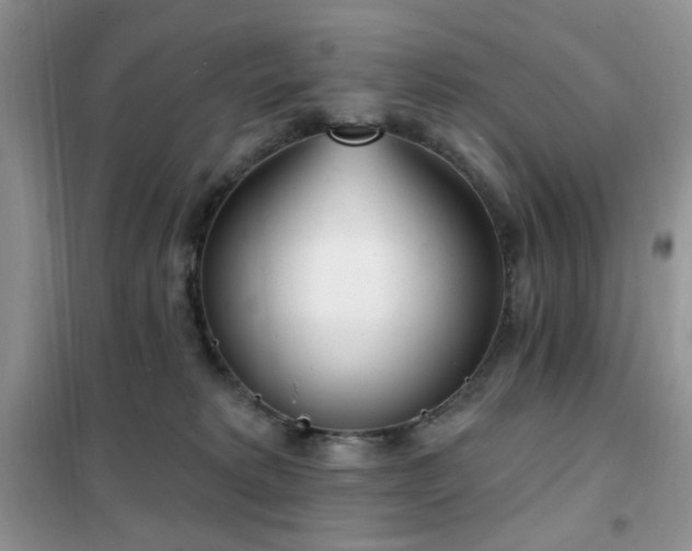 X0000102350229200808011211