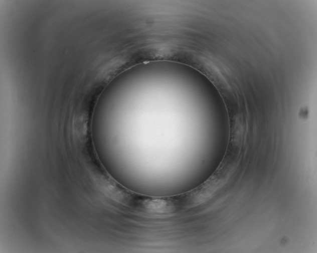 X0000102350230200808011211