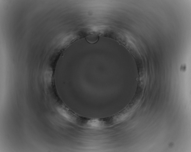 X0000102350231200808011211