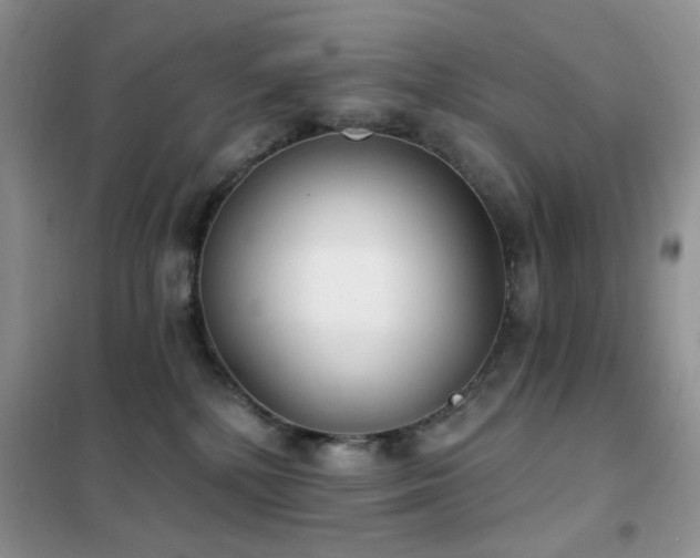 X0000102350232200808011211